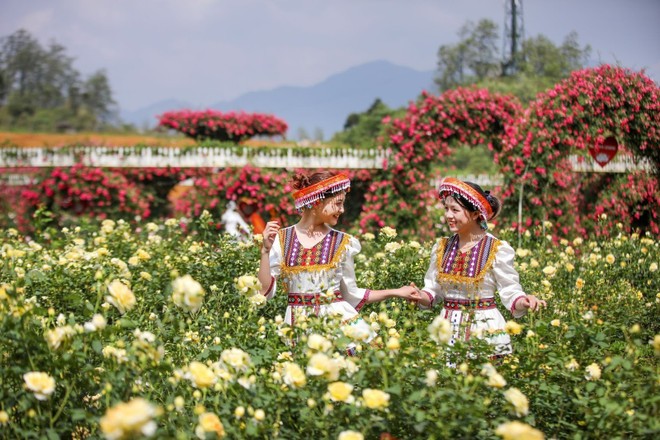 2025年玫瑰节也是4月不容错过的节日。 2025年玫瑰节也是4月不容错过的节日。